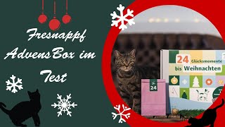 Fressnapf🐈 I Adventsbox🎄I Hot oder Schrott I Unboxing [upl. by Eecal]