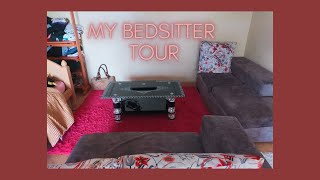 How to arrange a BedsitterStudio Apartment Ideas My Bedsitter Apartment Tour [upl. by Ecinad]