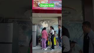 Single tree 🌳 viral singletreefpyシ viralvideo [upl. by Acacia]