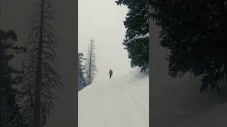 Brighton Powder Utah Snowboarding [upl. by Nate]