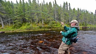 Steelhead amp Salmon on a Fly  How To [upl. by Yelekalb183]