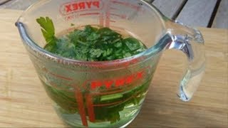 How To Cleanse Your Kidneys Almost Instantly Using This Natural Home Drink [upl. by Hanover86]