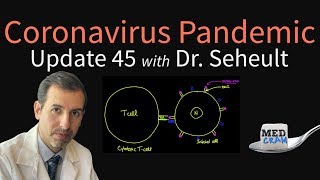 Coronavirus Pandemic Update 45 Sharing Ventilators More on Sleep Immunity amp COVID19 Prevention [upl. by Gies]