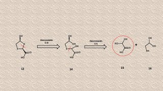 LamivudinaEmtricitabina antivirales vs VIH y VHB análisis retrosintético [upl. by Gnuj]