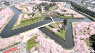 Japan Trip Fort Goryokaku star shaped citadel cherry blossom Hakodate Hokkaido52 [upl. by Derrek737]