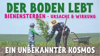 Der Boden lebt  ein unbekannter Kosmos [upl. by Assilla]