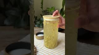 DIY Probiotic Soda with Ginger Bug [upl. by Akinimod]