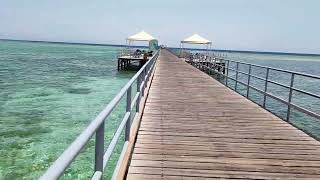 Rixos Premium Seagate SNORKELING POINT [upl. by Reger]