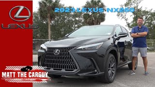 Is the 2023 Lexus NX 250 worth the price Review and drive [upl. by Wolgast]