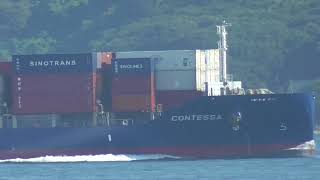 Container Ship CONTESSA 9 2024 [upl. by Peterus200]