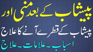 Peshab Ke Bad Mani Ke Qatray Aanay Ka Asan Ilaj  Peshab K Qatry Any Ka Ilaj  Kamzor Masana Ka Ilaj [upl. by Catima816]