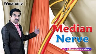 Median nerve Anatomy Animation USMLE Step 1  Origin Course Branches and Median nerve injury [upl. by Anaz509]