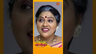 Ninnishtam Ennishtam  shorts  suryatv malayalamserial [upl. by Einattirb330]