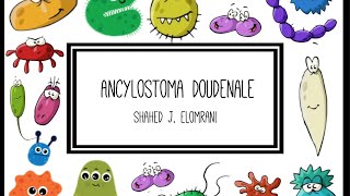 Ancylostoma Duodenale [upl. by Garibold]