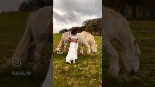 Swanston Farm and Shadowfax like horse🤍 scotland edinburgh unitedkingdom shadowfax disney [upl. by Meece219]