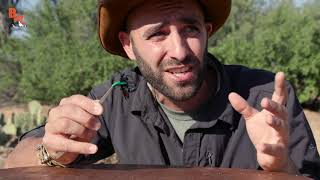 Sting pain index with Coyote Peterson [upl. by Ailimac]