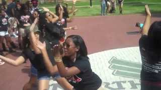 Zeta Eta Chapter of Delta Sigma Theta Inc TAKEOVER [upl. by Ariaet]