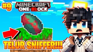 ONE BLOCK  AKU MENDAPATKAN TELUR SNIFFER DI ONE BLOCK  MINECRAFT SURVIVAL INDONESIA [upl. by Ahsiniuq660]