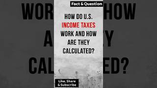 How do US income taxes work and how are they calculated factshorts [upl. by Llertrac761]