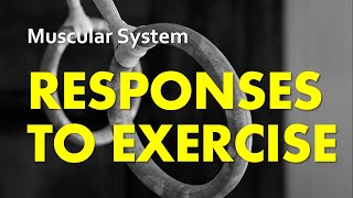 Responses to Exercise  Muscular System 07  Anatomy amp Physiology [upl. by Caine]