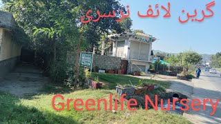 Greenlife Nursery Swat location 📍🌐گرین لائف نرسری سوات کا مقام📍🌐 [upl. by Clarissa763]