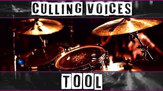 Drumless Culling Voices  Tool [upl. by Flossy696]