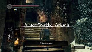 Dark Souls Remastered Xanthous Armor Set Location [upl. by Ynamad]