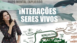 ECOLOGIA  INTERAÇÕES SERES VIVOS  Mapa Mental Explicado [upl. by Terina]