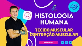 Histologia Humana  Tecido muscular  Contração Muscular [upl. by Harty772]