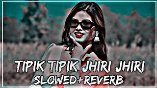 Tipik Tipik Jhiri Jhiri Jol Poriche Purulia Lofi Mix  Dj Vicky x Dj Rocky  SlowedReverb lofi [upl. by Aleuname]