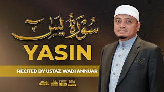 Surah Yasin سُورَةُ يس Recited by Ustaz Wadi Annuar [upl. by Ttekcirc]