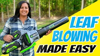 Leaf Blowing Made Easy  5 Top Tips [upl. by Anuaik792]