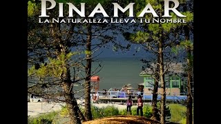 PINAMAR LA NATURALEZA LLEVA TU NOMBRE  DOCUMENTAL [upl. by Daniele]