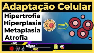 Adaptações celulares Hipertrofia Hiperplasia Atrofia Metaplasia Atualizado [upl. by Ardnod]