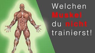 RUDERGERÄT TRAINING Dieser Muskel wird NICHT trainiert… OMG [upl. by Surdna515]