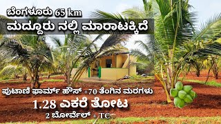 128 Acre Coconut Farmland with Farmhouse Sale in Maddur Near Channapatna Charan 7338474634 [upl. by Bhatt]