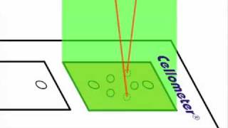 How Dualfluorescent AOPI Assays Work for Cell Concentration and Viability [upl. by Annayad]