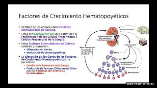 2023 72 Hematopoyesis Histologia [upl. by Sirron]