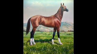 AKHAL TEKE HORSE TURKMENISTANS PRIDE [upl. by Pardoes383]