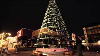 40 foot Sequoia Tower Tree installed by Thomas Brady amp Associated Artists [upl. by Anelam]