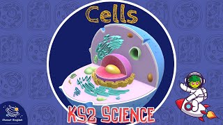 Cells  KS2 Science  STEM and Beyond [upl. by Ettedualc670]