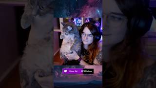 Was im Gesicht🥲 twitchdeutschland gaming twitchclips katze cat fortnite funny stream [upl. by Bergquist]