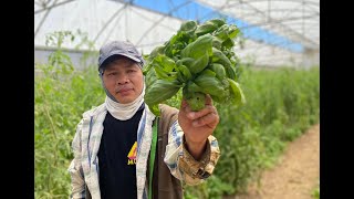 Pesto caseiro  é com a Quinta do Arneiro [upl. by Oca]