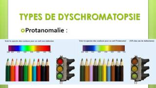 BIOPHYSIQUE Les Dyschromatopsies [upl. by Alael]