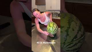 40 lb Watermelon I grew gardening watermelon shorts viralvideo grow 🍉 reveal [upl. by Firahs212]