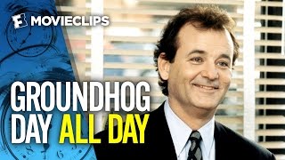 Groundhog Day 2024 live from Punxsutawney [upl. by Arekahs]