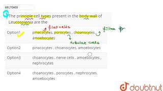 The principle cell types present in the body wall of Leucosolenia are the  12  ANIMALIA I L [upl. by Chrysler]