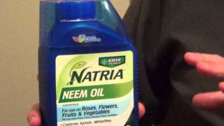 Neem Oil for Plants  Safe Insecticide for Gardens [upl. by Zarah667]