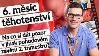 6 měsíc těhotenství 23–⁠26 tt  Těhotenství týden po týdnu tehotenstvi [upl. by Riha]