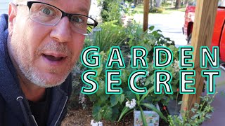 Biochar Inoculation Garden Secret [upl. by Arlan]